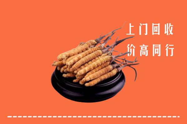 高价求购：株洲市炎陵回收散虫草