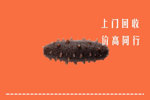 高价求购：株洲市炎陵回收海参