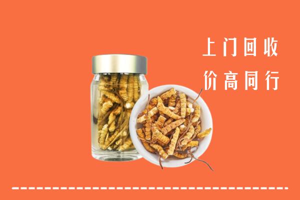 收购行情：株洲市炎陵回收冬虫夏草