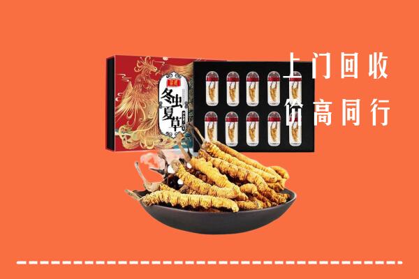 株洲市炎陵回收虫草